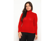 ��������� ����:  245 RUB  �������: 50 ������� / ���: 960091221 ��������: ���������