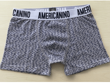 240 ��� AMER*CANINO