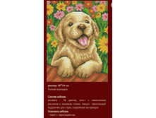 �-155 � ���� ������ (��) 18�24 ���� 480 ���.png