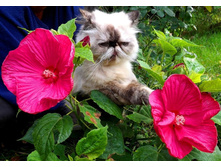 �������� ��. ����4. ����� ������ �� ���������.JPG