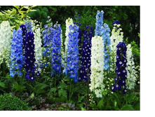 ���������� �������� ��������. �����.jpg