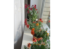 ���������� ����� ���������� ����3.jpg