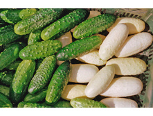 ������ ����� ����� 18,2 ���. (10 ��.).jpg