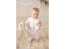 ������ ���� �������.jpg