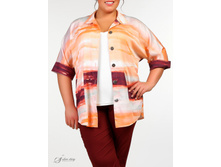 ������ 2704038-23.jpg