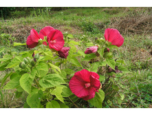 �������� ��. ����. ����� ������ �� ���������.jpg