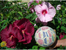 �������� ��. ����8. ����� ������ �� ���������.jpg