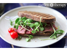 ����������� ���. ����7.jpg