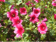 ������ ��������� ������� ������ ���������3.jpg