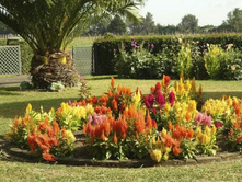 ������� ����� � ��������.jpg