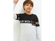 20110100119   Bull        .jpg