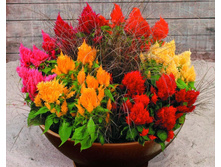 ������� ������, ����� ��������� ������ � �������3.jpg