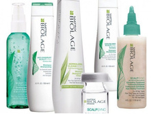 Matrix Biolage ScalpSync.jpg