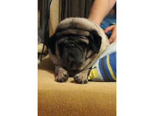 ����� ���)