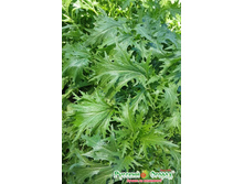 ������� �������� ��������� 9,1 ���. - 0,3 ��..jpeg