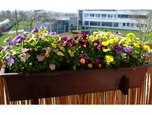 �����. ���������2.jpg