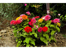 ����� �����������.jpg