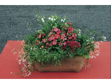 ��������� � ����������.jpg