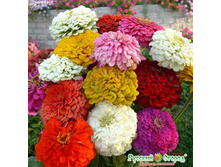 ������ �������������� ������� 11,4 ���. ������ �� 14 ��. � ��������