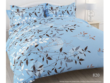 820 ������.jpg