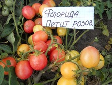 ����� ������� �����.jpg