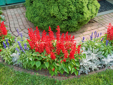 ������� ������ ��� � ����������2.jpg