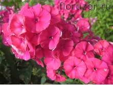 �.�.����