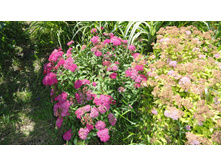 ������ �������