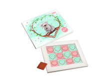 ���� ���� (�����).png