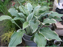 ����� ��������(No1,4)