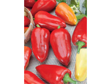 ����� �������� ���. ����.jpg