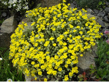 ����������. ���� �� ��������� � �����2.jpg