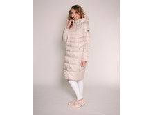 ������� 1817