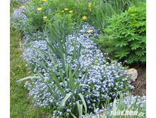 ��������� ���������� ���� �� ��������� � �����2...JPG