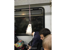 �������� �������� 80lvl