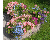 ����� ��������� �����3..jpg