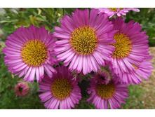 �������� ������� ���������. � ��������� ����� ������ ����������.jpg