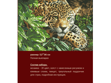 �-335 ����� ������ (��) 52�36 ���� 1412 ���.png