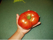 ����� F1 ������� ������ ���. ����.jpg