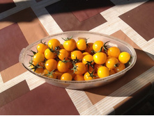 ����� ������� ��������� ���. ����2.jpg