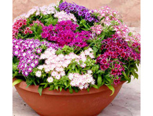 ����� ��������� �����2.jpg