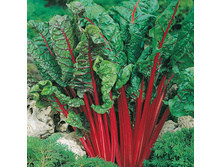 �������� ���� 9,10 ���. (1 ��.).jpg