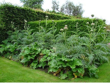 �������� � �������������� ������. ����� ������ � ��������.jpg