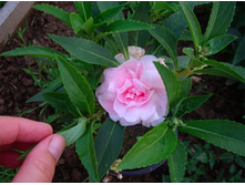 .��������� ��� ���� �����. ����. ����� ������ �� ���������.jpg