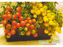 ����� ������ �� - 10,30 ���. (10 ��.).jpeg