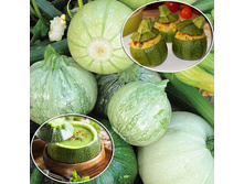 ������� ������ ������� 11,7 ���. (10 ��.).jpg