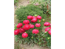 ����� ���� ���������2.jpg