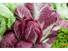 ����� �������� ���. ����.jpg