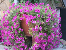 �.������� ���������� ����� ���. ����.jpg