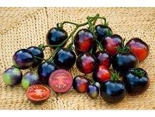 ����� F1 ������ ������ 7.jpg